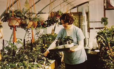 Bonnie fills a tray of starter plants.